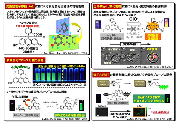 Fig. 1 Rational precise design and development of fluorescent probes