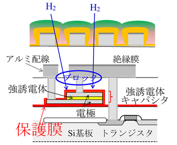 図2 FeRAMの断面図。保護膜によって、外部からの水素をブロックする。