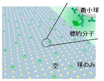 図1 微小容器のアレイで一分子を検出するデバイス