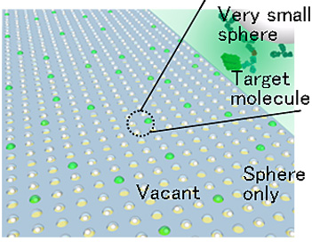 Fig. 1  A device for detecting one molecule by means of an array of ultra-small containers