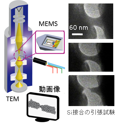 図3 MEMSを透過電子顕微鏡中で動かし、ナノ物体の変化を観測する