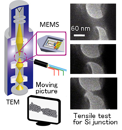 Fig. 3  By moving MEMS in a transmission electron microscope, observe changes in nano-objects.