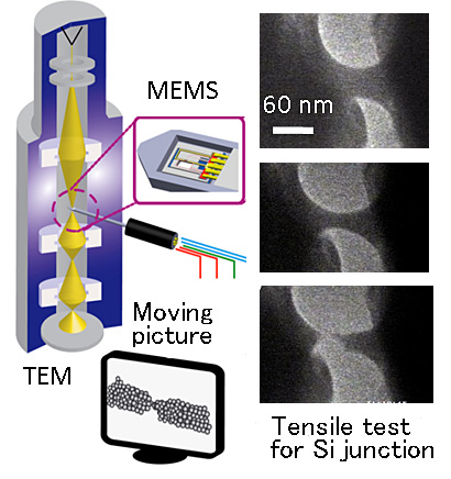 Fig. 3 By moving MEMS in a transmission electron microscope, observe changes in nano-objects.