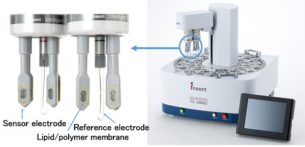 Taste sensor and electrode commercially available now (Taste detection device TS-5000Z: manufactured by INSENT)th=