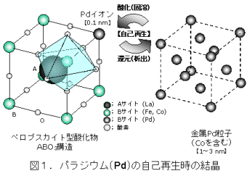 図1.パラジウム（Pd）の自己再生時の結晶