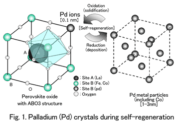 Fig. 1 Palladium (Pd) crystals during self-regeneration
