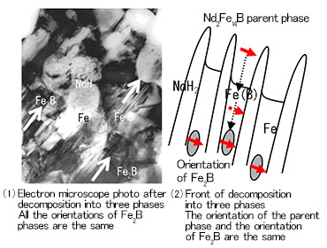 Fig. 2 Texture Memoty Effec