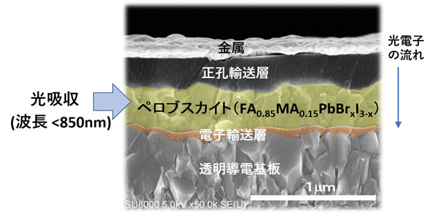 図3 ペロブスカイト薄膜太陽電池の層構成
