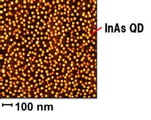 FIG. 2-1 An AFM image of quantum dots (Density:6×10<sup>10</sup>cm<sup>-2</sup>)
