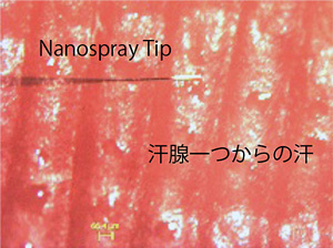 図5 ヒト指先汗腺一つからの汗の捕捉