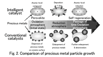 Fig. 2 Comparison of precious metal particle growth