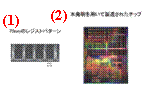 Fig. 3 Pictures of 70-nm resist pattern cross-section and LSI chip manufactured using it