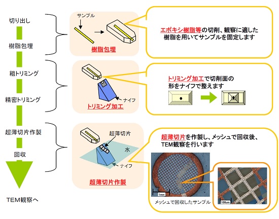 ウルトラミクロトーム加工 | 分析サービス | MST