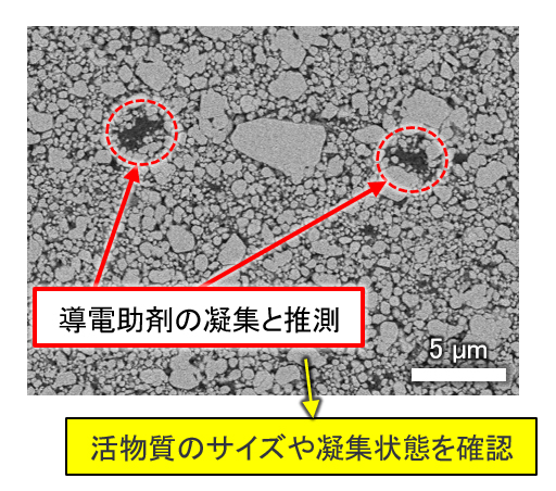 LFP電池のSEM像