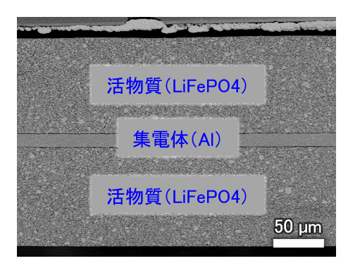 LFP電池のSEM像