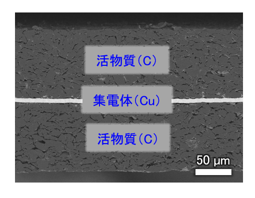 LFP電池のSEM像