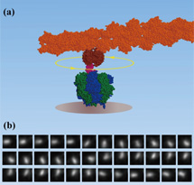 ��2��ʬ�ҥ⡼�����β�ž�δѻ���