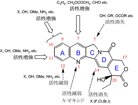 ��2����¤�������