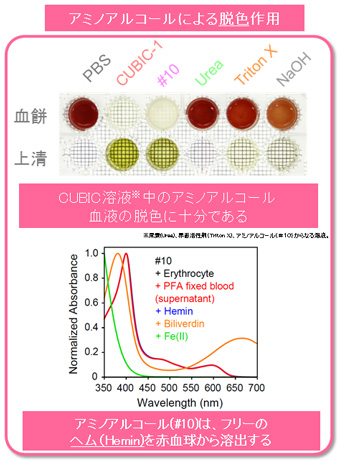 �ޣ� ���ߥΥ��륳����λ���æ������
