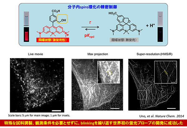 �ޣ�����ȯŪ�����Ǥ���Ķ�����ץ����֤γ�ȯ