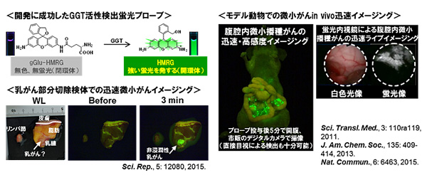 �ޣ��������ָ��ץ����֤γ�ȯ�ˤ������®���󥤥᡼���󥰤μ¸�