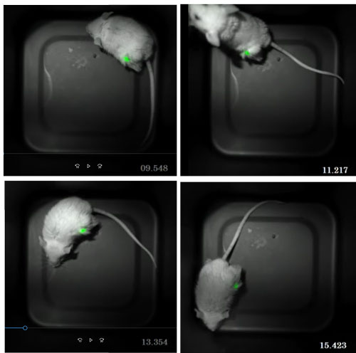 �ޣ� ư�����ޥ�������Τ��󥤥᡼����