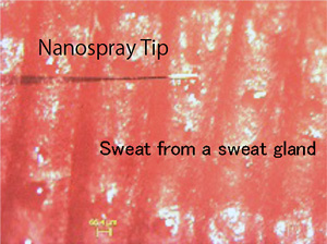 Fig. 5��Sweat trapping from a sweat gland of a person's finger