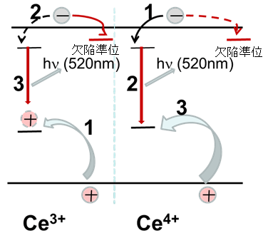 ��1 Mg2+�ζ�ź�äˤ���ü�ʥ��ͥ륮����̤�ȯ����������ٽ�̤����Gd3+��4f4f��̤��ͳ����Ĺ��̿��ʬ���㸺����û��̿��ʬCe3+5d-4f���ܤ�ȯ����¥�ʤ��븽�ݤΥ�ǥ롣
